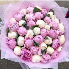 Бело-розовые пионы