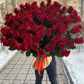 101 из шикарных Роз