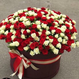 Роза кустовая, Флористическая губка, Шляпная коробка