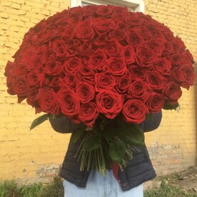 Красные розы