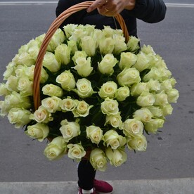 101 роза в корзине
