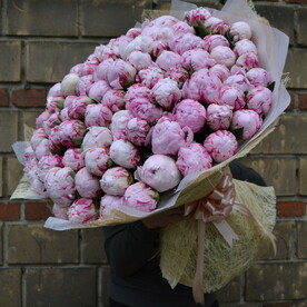 Пион Сара Бернар