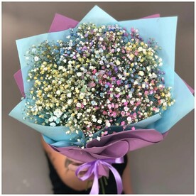 Гипсофила созвездие красок