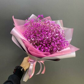 Облачко розовой гипсофилы