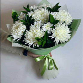 Пояс Венеры