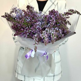 Букет из сирени