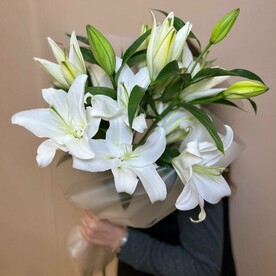 Моно букет из шикарных лилий
