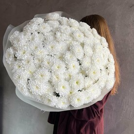 25 веток белоснежной хризантемы