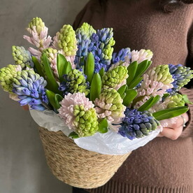 Ароматные гиацинты в плетёном кашпо