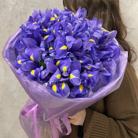 Моно из ярких ирисов (25 штук)