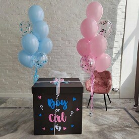 Шары на гендер пати