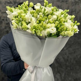 Эустома белая