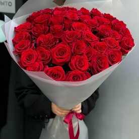 Роза красная 51