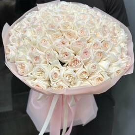 Ароматная роза O’hara