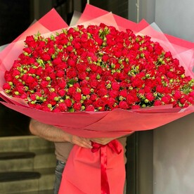 Кустовая роза красная