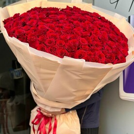 Роза красная 201