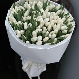 Тюльпан 101 шт