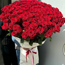 Роза красная 101 шт