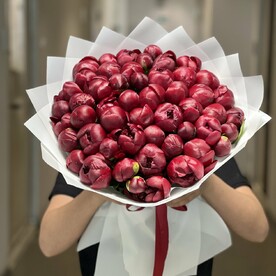 Пионы бордовые Премиум