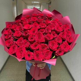 Роза красная Премиум