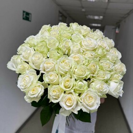 Роза белая  Премиум