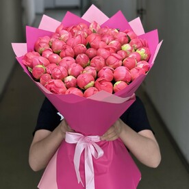 Пионы коралловые Премиум