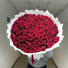 101 Роза красная Премиум