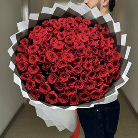 101 Роза красная Премиум