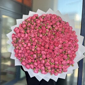 Кустовые розы Мисти Баблз