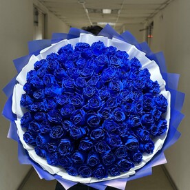 Синие розы Эквадор Премиум