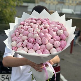 Пионы Сара Бернар