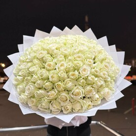 101 Роза белая