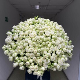 Кустовые розы