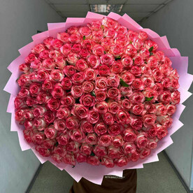 201 Роза Джумилия