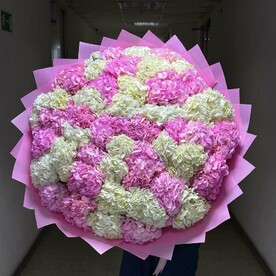 Гортензия микс