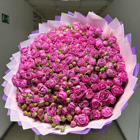 101 Роза кустовая пионовидная