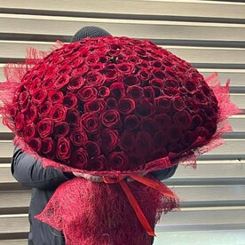 101 Красная Роза