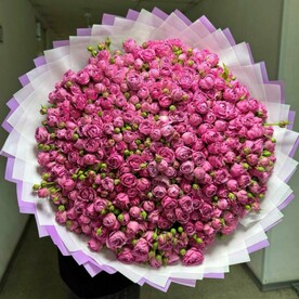 Кустовая пионовидная роза