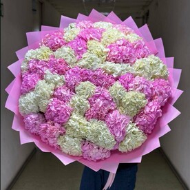 Гортензия микс