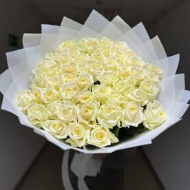 51 Роза белая