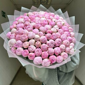 Букет из 101 Пионов Сара Беранар