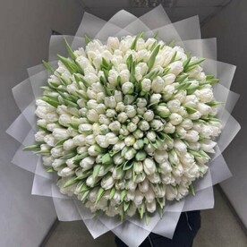 Букет из белых тюльпанов