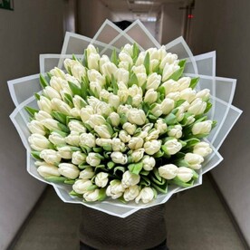 Тюльпаны белые