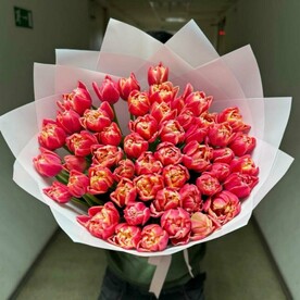 Тюльпаны пионовидные