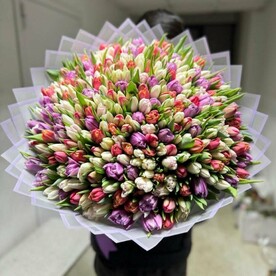 Тюльпаны Микс