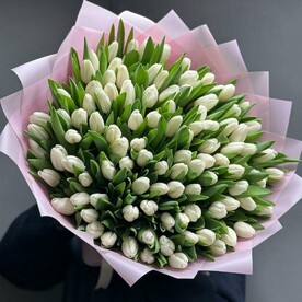 Белый тюльпан