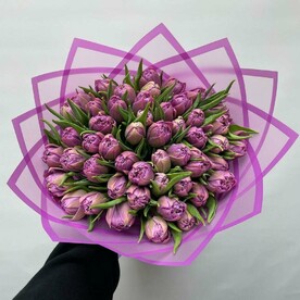 Тюльпан пионовидный