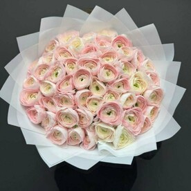 Ранункулюс