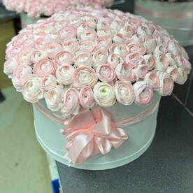 Ранункулюс в коробке