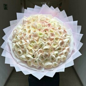 Ранункулюсы